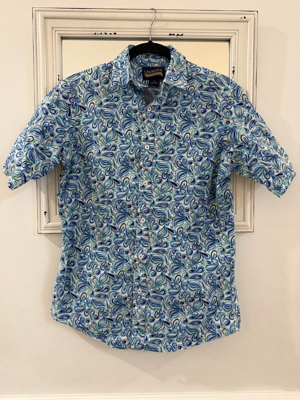 Daniel Cremieux Paisley Short-Sleeve Button-Down Shirt